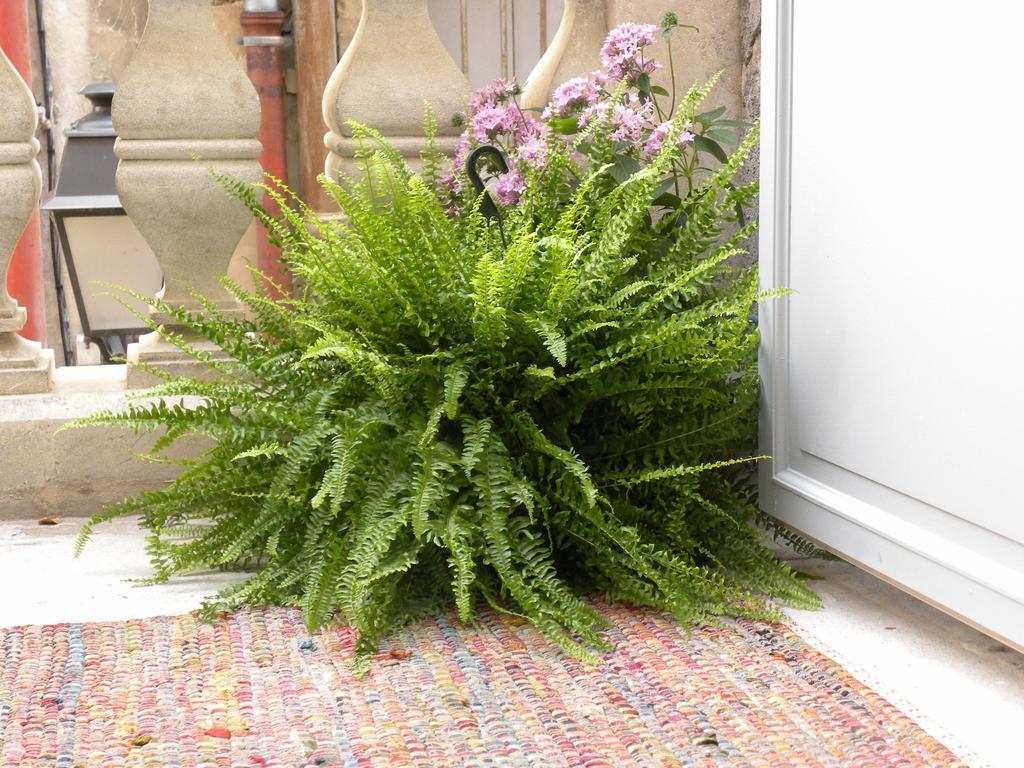 몽펠리에 La Terrasse Du Marche Aux Fleurs 아파트 외부 사진